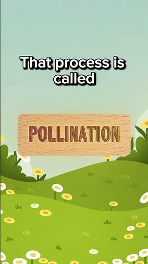 What Is Pollination? | How Plants Reproduce (Explained Simply 🌱) #sciencetips