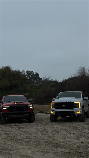 Jorge 🐺 on Instagram: "pavement princess - - - - - - - #ford #coyote #f150coyote #spacewhite #offroad #4x4 #fx4 #todoterreno #singlecab #37s #liftedtrucks #leveledtrucks #lobobelico #weldwheels #cencaltrucks #fbo #fyp #offroad #bbyplatinum #platinum #platinumf150"