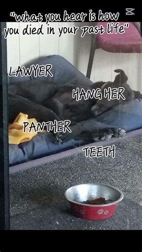 *insert minecraft villager sound here*