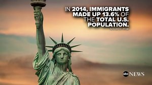 Undocumented immigration in the US: By the numbers