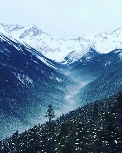 A moment of serenity from BC's Coast Mountains as seen from the PEAK 2 PEAK Gondola at Whistler Blackcomb. Have you been? 📹: @jeffkal via Instagram | Super, Natural British Columbia