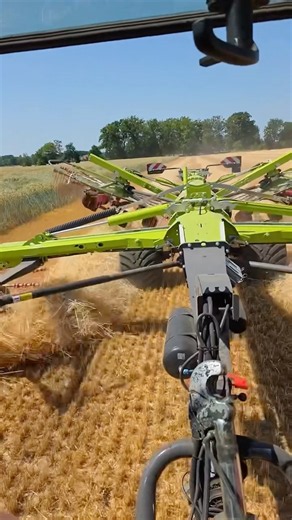 🔥 GIANT RAKE MAKES THE PERFECT WINDROW!