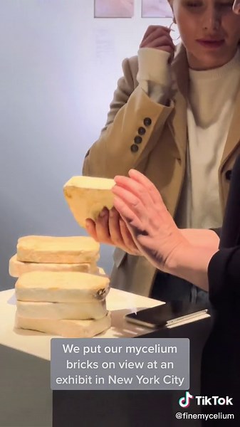 Exhibit on Mycelium Bricks in New York City