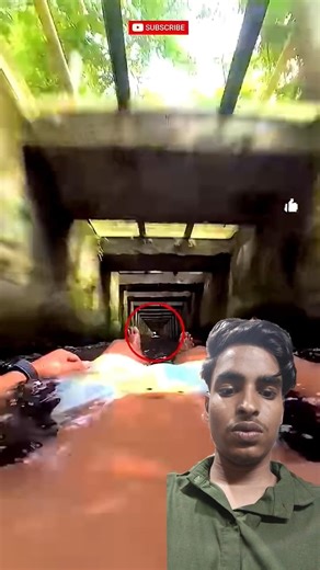 🔥#TIMELAPSE​: START to FINISH Alone BUILD LOG Cabin(Wooden House) How To Build Wooden Cabin Surviva