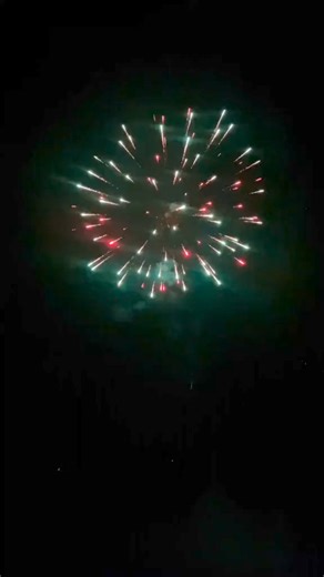 1K views · 27 reactions | 88_Massive Fireworks Cake #fireworkcake #fireworks #firework #feuerwerk #fuegosartificiales #pyro # | Firework Show | Facebook