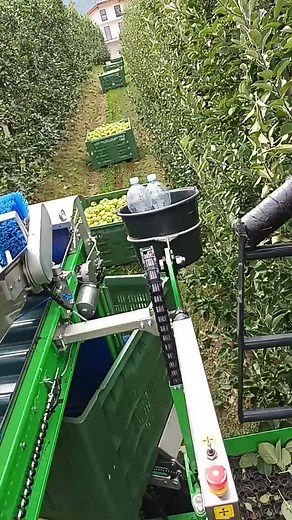 Automated Apple Picking Machine in Action