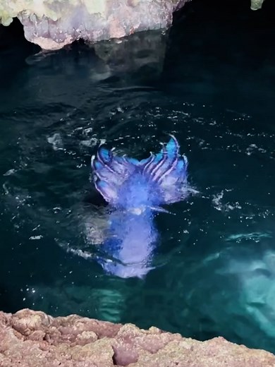 sereiaguardia no TikTok