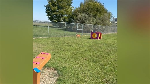 City of Sikeston, MO on Reels