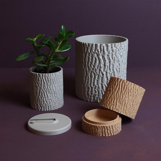 Ash Tree Bark Planter “fraxinus Excelsior” Design by Gazzaladra - Etsy