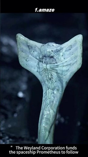 #movie #film Prometheus (2012)** — Directed by Ridley Scott
