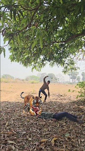 Dost ka upar tiger attack in jungle VFX funny #viral #wildlife #leopard attack #amazon video viral