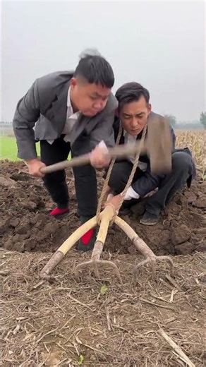 Scientific farming, smart work, using the right tools doubles efficiency #AgriculturalTools...