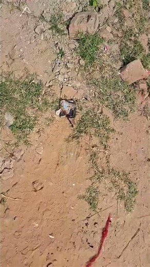 samsung a34 battery 🔋 💣 blast smartphone battery #battery