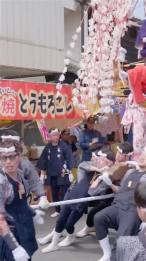 【小鹿野春祭り2026】迫力の笠鉾曳行わっしょい #shorts