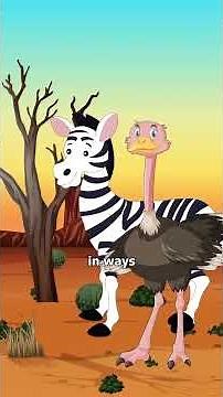 When Animals Help Other Species Survive❤️