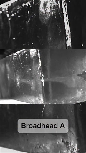 @speedbroadheads | How does the speed compare to 2 of the most popular heads on the market? You can be the judge 👀 #speedbroadheads | Instagram