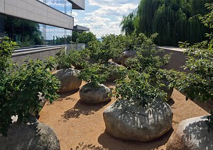 Garden of Stones by Andy Goldsworthy