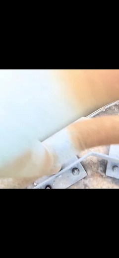 Exploding fish 🤯 #fyp #meme #CapCut #capcut_edit #fishing