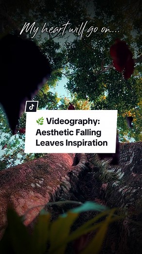 Replying to @NURUL AKMA Aesthetic falling leaves video tutorial. Location: Taman Negara Johor, Lagenda Gunung Ledang #aesthetic #tutorial #sirmartstudios