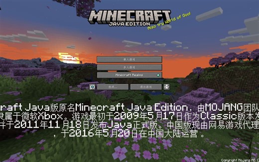 Minecraft 知识科普之Minecraft Java Edition