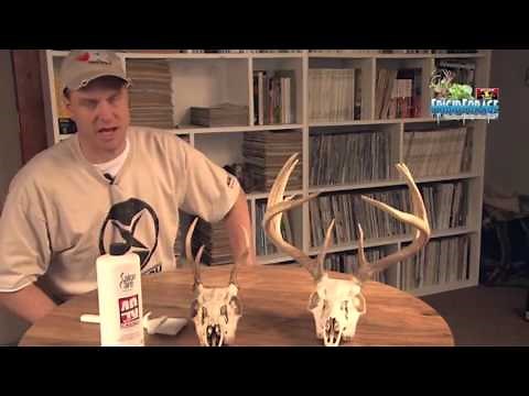 How to do a European Mount