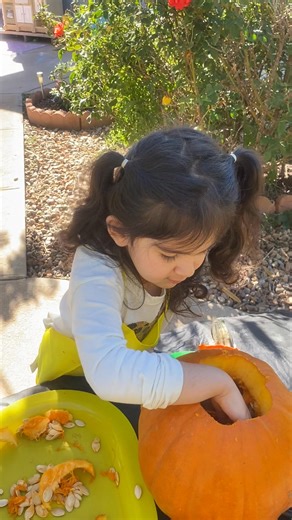 Lil Learner's Lab on Reels