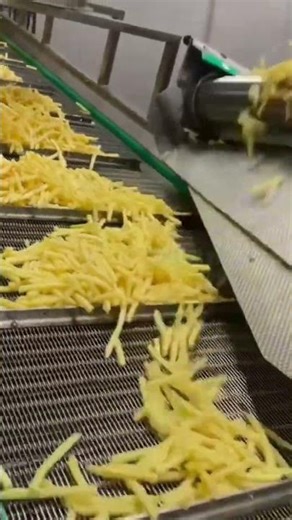 the cutting process in making French fries using the tools available in the factory