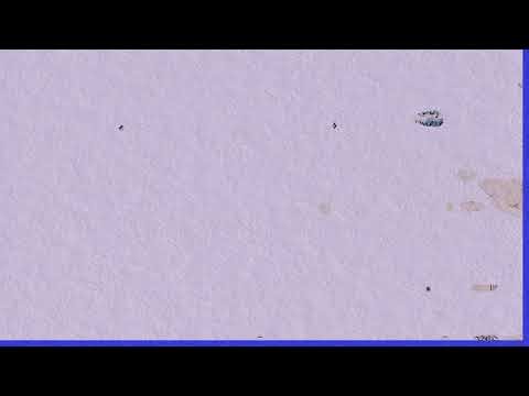 Identity operator in Python in detail explaination || easy explaination