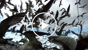 Movie Review | 'Leviathan'