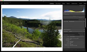 An Easy Trick to Remove Lens Flare From Your Photos