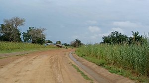 Enjoying the breathtaking scenery on the Gowrie road and also stimulating music from Frafra kologo music legend, Adimazanga. | My Bolga Online