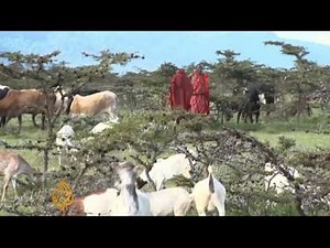 Tanzania tribe evicted from ancestral land