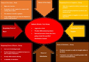 Nu Skin Enterprises: Analyzed Using Michael Porter's Five Forces Model