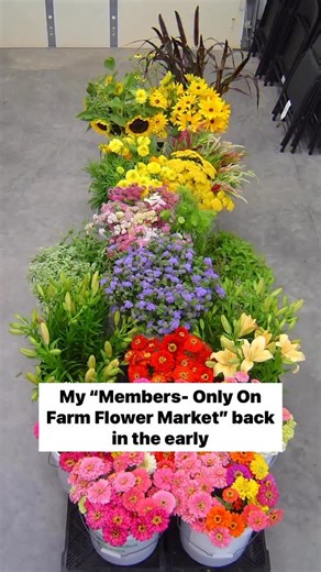 40 reactions · 3 comments | Get the details of my Members-Only model when you attend LIVE “Where to Sell Your Cut Flowers!” Did I mention it’s FREE? Comment SALES for my masterclass October 30, 8pm. I’m spilling my beans on flower farming and selling. I’m obsessed with selling because selling is what it takes to keep a business alive for 27 years— Hope to see you Thursday for the last masterclass!! #gardenersworkshopfarm | The Gardener's Workshop | Facebook