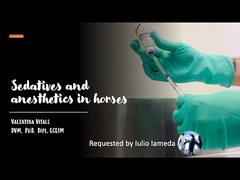 Sedatives and anesthetics used in horses - Vet students