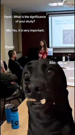 Research Defense Moments: Significance of Study and Presentation Meme