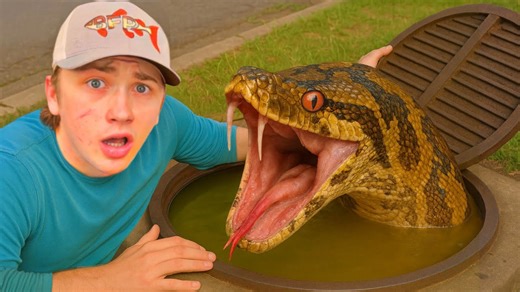 I found a sewer infested with deadly snakes