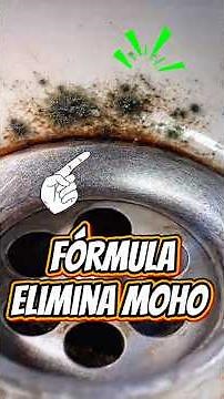 How to remove mold in a workshop or at home #mold #cleaning #mechanics #lifehacks #tools