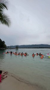 183K views · 9.4K reactions | Lubi Swimfest 2025 unites over 100...