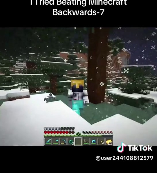 I Tried Beating Minecraft Backwards-7
