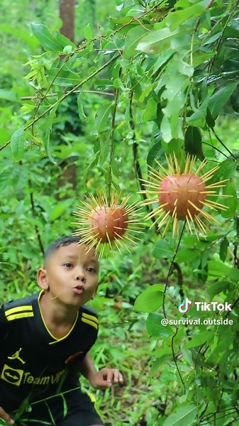 Essential Bushcraft Skills for Forest Survival