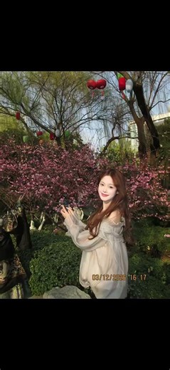 春花摄影姿势，明亮欢快的春日氛围