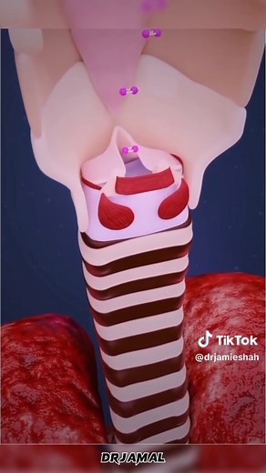 Understanding the Reasons Behind Hiccups