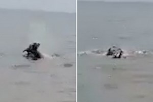 Harrowing video shows killer hippo dragging a child to his death in lake