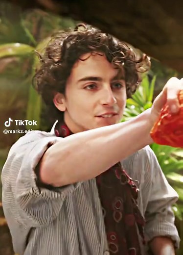Timothée Chalamet Wonka Edit - Creative Showcase