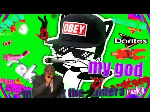 MRCAT'S INSANE BOTTLE FLIP 🔥🍾