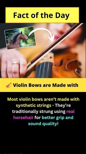 #DidYouKnow #MusicFacts #ShortFacts #AmazingFacts #FunFacts #youtubeshorts