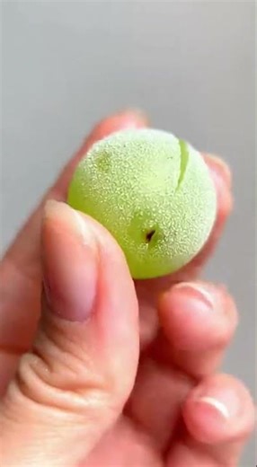 Frozen Grape Crunch ASMR 😳 Ultra Loud & Addictive