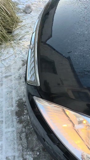 Ford 2.0 duratec #coldstart #automobile #mechanik #mechanic #mondeo