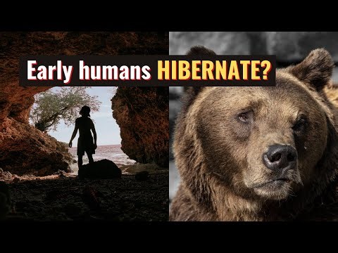 : English ESL video lessons